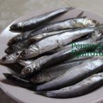 Lightly salted anchovies - two delicious recipes for home salting Anchovy brine at home