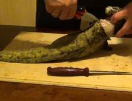 How to clean burbot: secrets of the housewife